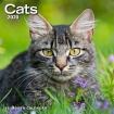 Save 70% on 2020 cat calendars